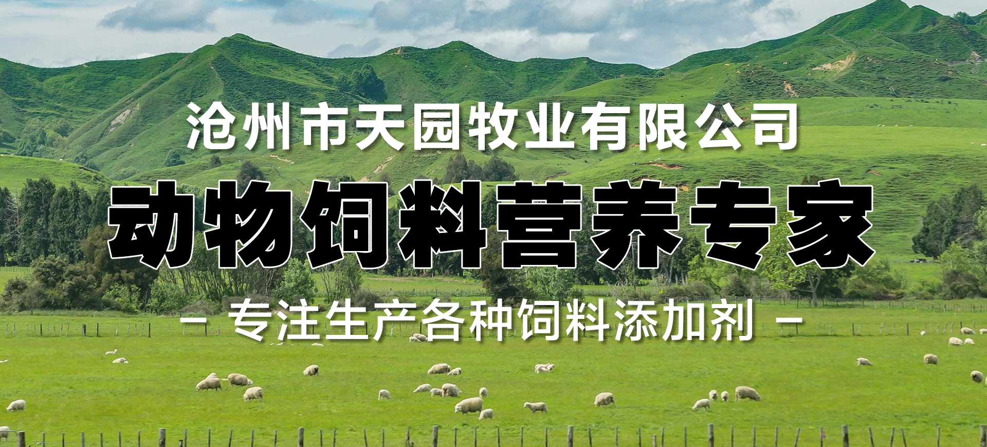 傳動(dòng)滾筒