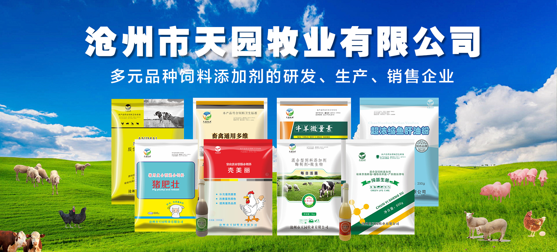 改向滾筒